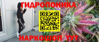 mix Мариинск