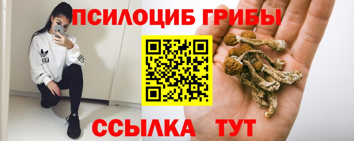 Калининград  Псилоцибиновые грибы Psilocybine cubensis  Вход с VPN 